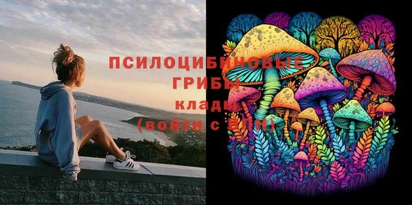 стафф Алексеевка